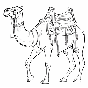 Camel Coloring Pages – Coloring corner