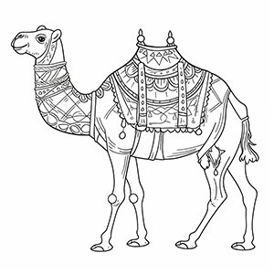 Camel Coloring Pages – Coloring corner