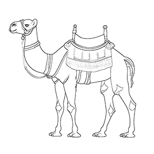 Camel Coloring Pages – Coloring corner