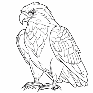 Free Falcon coloring pages – Coloring corner