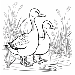 Goose Coloring Pages – Coloring corner