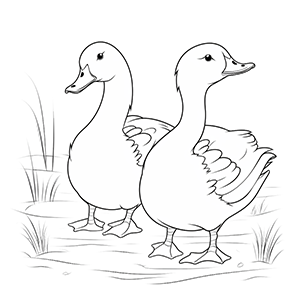 Goose Coloring Pages – Coloring corner