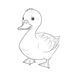 Goose Coloring Pages – Coloring corner