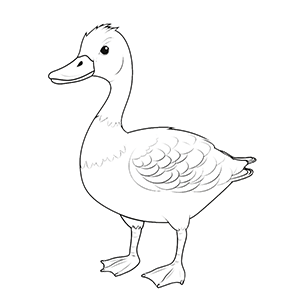 Goose Coloring Pages – Coloring corner