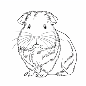 Guinea Pig Coloring Pages – Coloring corner