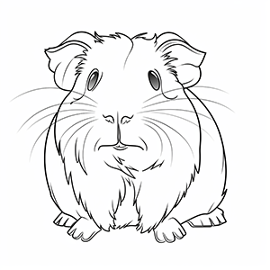 Guinea pig Coloring Pages – Coloring corner