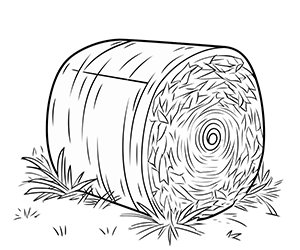 Sunny Fields and Stacked Bales