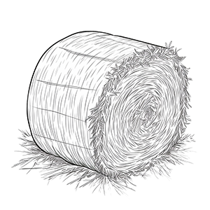 Free Hay bale coloring pages – Coloring corner