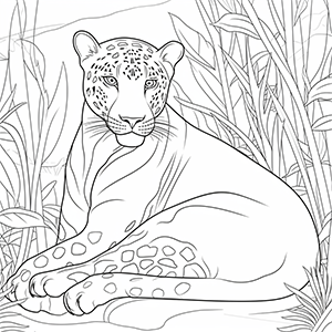 Jaguar coloring pages - Coloring corner