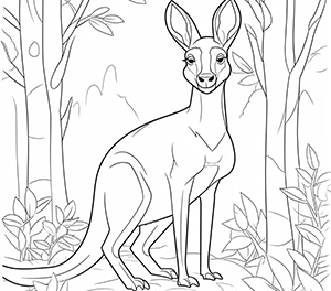 Kangaroo