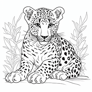 Leopard coloring pages – Coloring corner