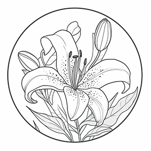 Lily coloring page – Coloring corner