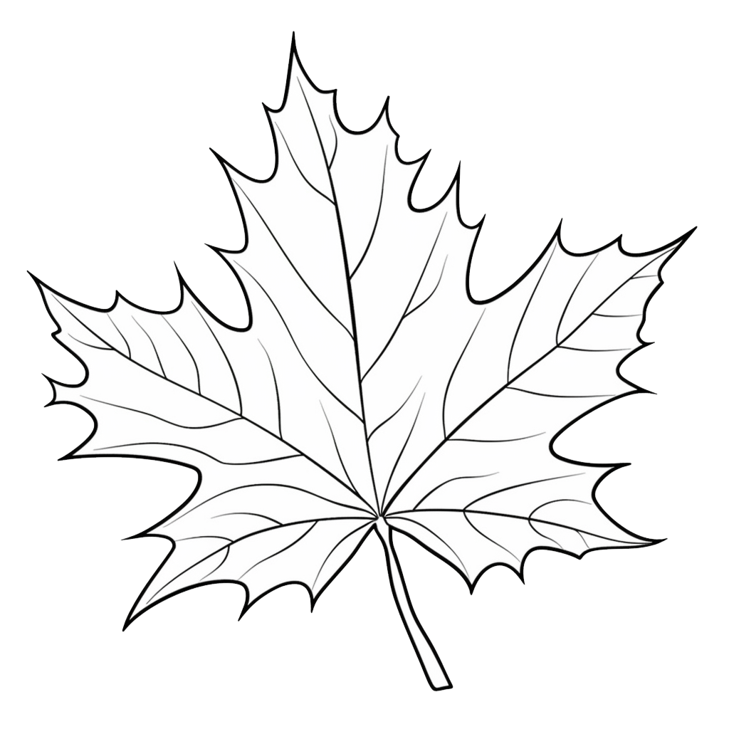 Maple leaf coloring pages – Coloring corner