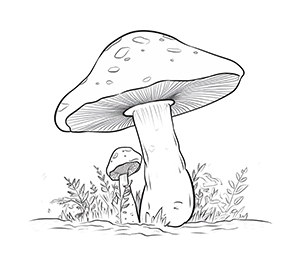 Fairytale Mushroom Village