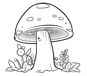 Dreamy Mushroom Wonderland