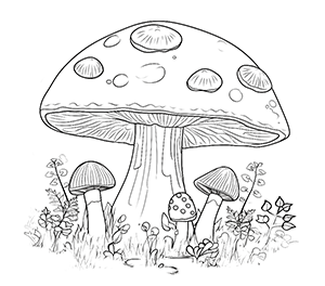 Mystic Forest Floor Mushrooms