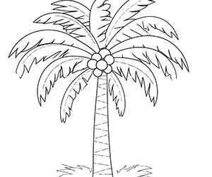 Sunny Palm Oasis