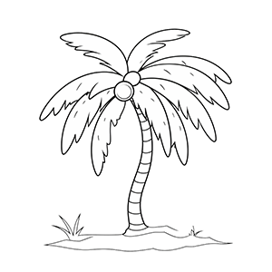 Palm Tree Coloring Pages - Coloring corner