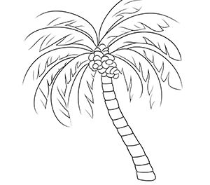 Vibrant Palm Retreat