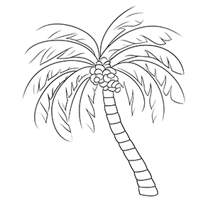 Free Palm Tree Coloring Pages – Coloring Corner