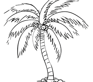 Whimsical Palm Fantasy