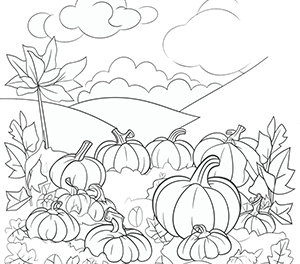 Dreamy Pumpkin Field