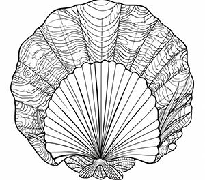 Radiant Seashell Designs