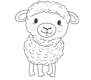 Sheep