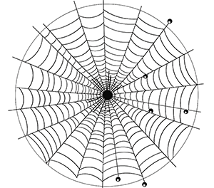 Intricate Spider Web Mosaic