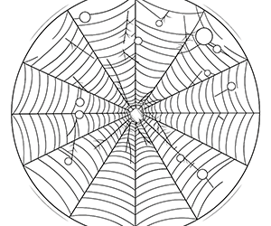 Whispers of Spider Web Secrets