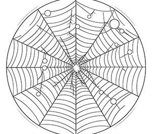 Whispers of Spider Web Secrets