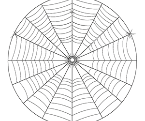 Spider Web Magic Unraveled