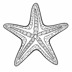 Free Starfish coloring pages – Coloring corner