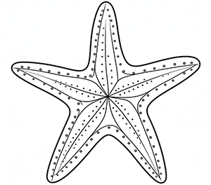 Radiant Starfish Splendor