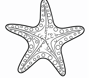 Whimsical Underwater Starfish