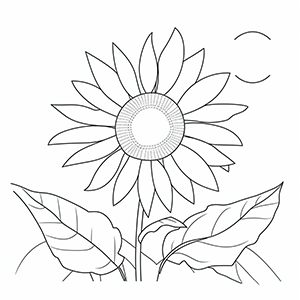 Sunflower coloring pages – Coloring corner