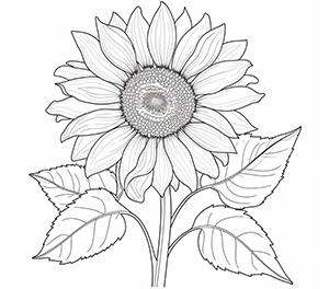 Elegant Sunflower Style