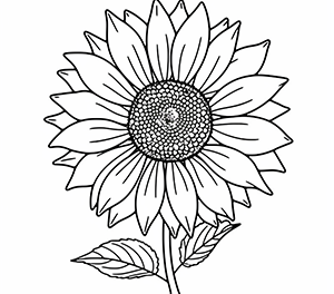 Bold Sunflower Contrast