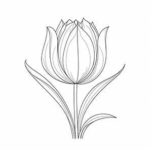 Tulip coloring pages – Coloring corner