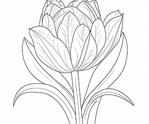 Whimsical Tulip Whirl