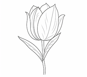 Bloomin’ Tulip Bliss
