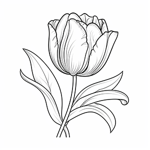 Tulip coloring pages – Coloring corner