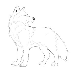 Arctic Wolf coloring pages – Coloring corner