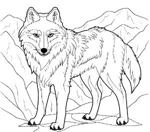 Arctic Wolf Crystal Realm
