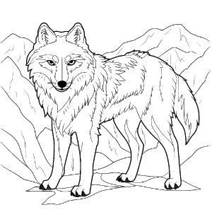 Wolf Coloring Pages – Coloring corner