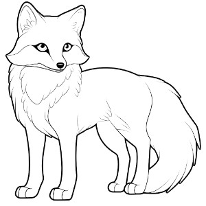 Arctic Fox coloring pages – Coloring corner