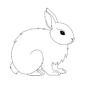 Arctic Hare coloring pages – Coloring corner