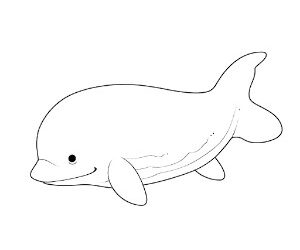 Beluga Whale Blue Harmony