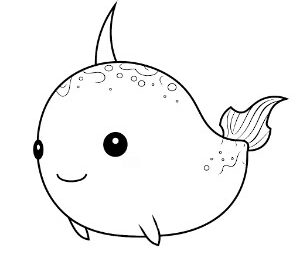 Curious Narwhal Capers