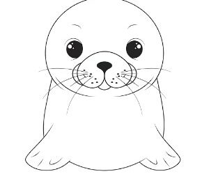 Funny Seal Antics